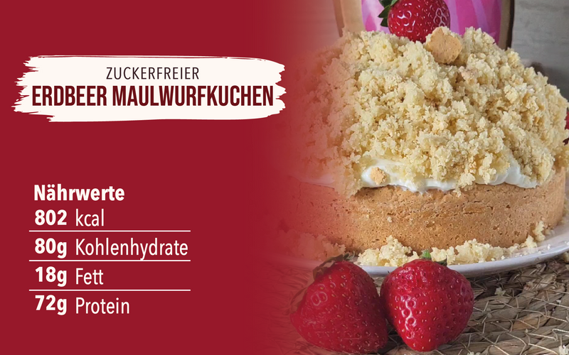 Erdbeer Maulwurfkuchen
